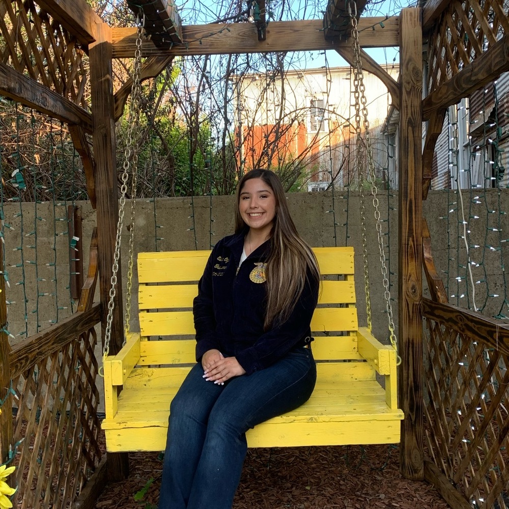 Meet your Posher, Elisha